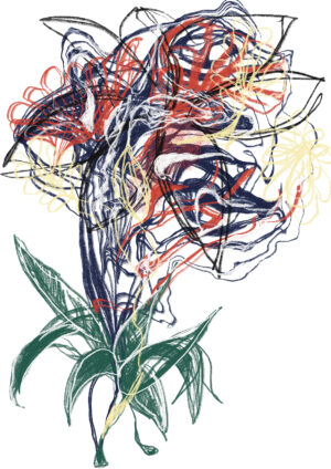 Marie-Therese Blecha