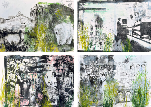 Elisabeth Schutting