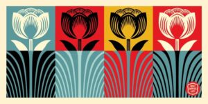Shepard Fairey