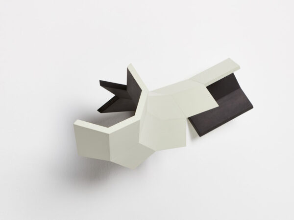 Roman Pfeffer