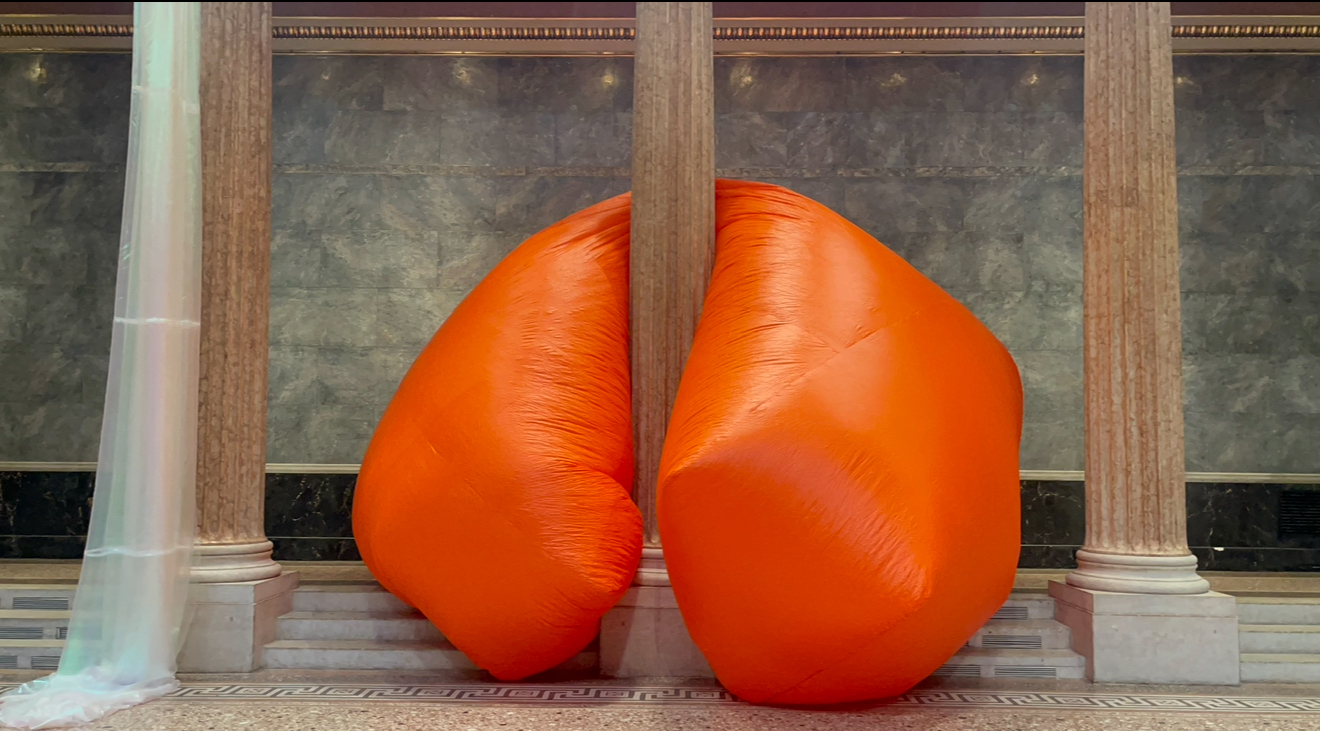 Negin rezaie, in collaboration with Matteo Lacoste , Riin Maide and Rozina Patkai