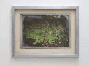 Emma Hummerhielm Carlen